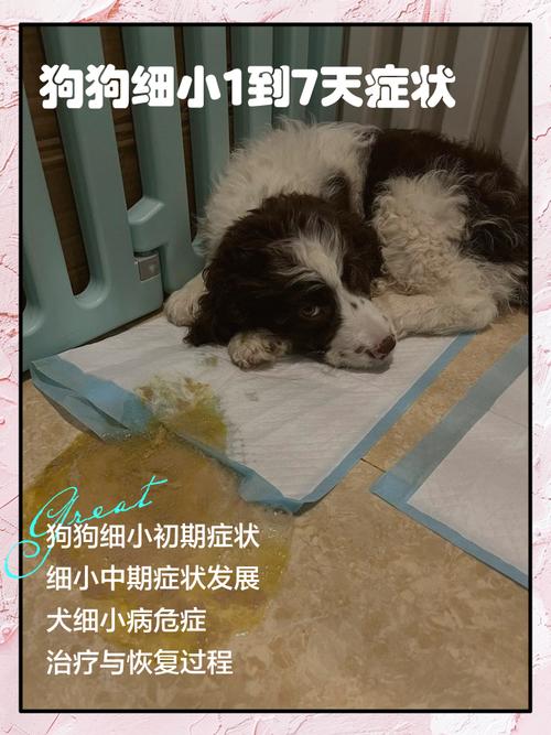 细小不吃不喝能坚持几天