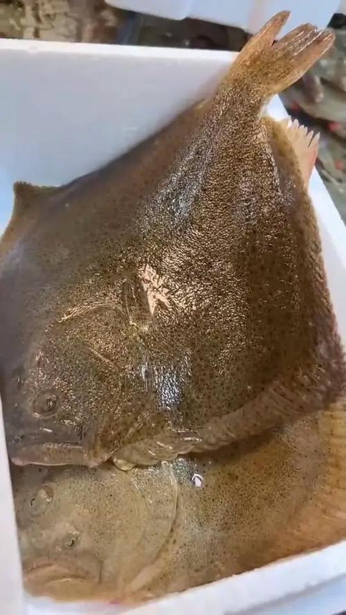 一个手机号注册几个闲鱼账号