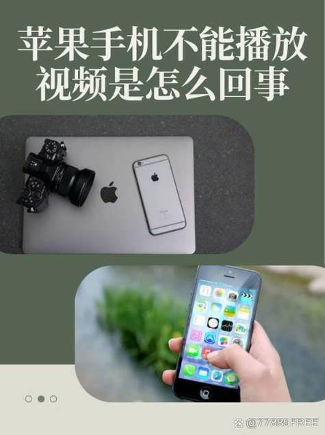 苹果手机为啥看不了视频了