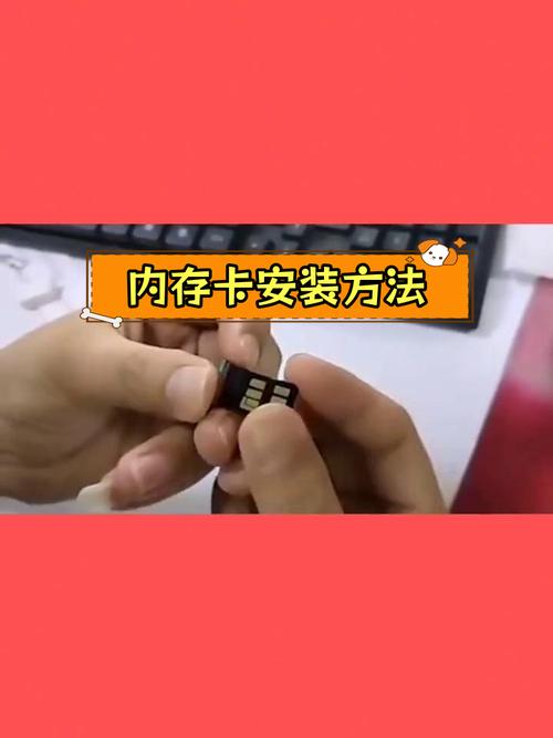 内存卡怎么取出来截图