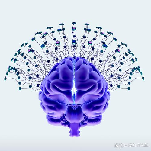 大脑寿命多少年