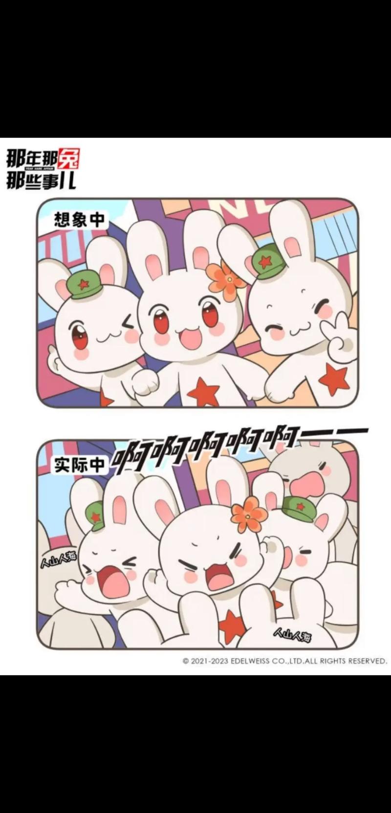 兔聊app下载旧版本