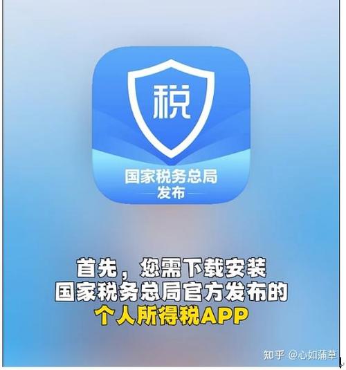 个人所得税在哪下载截图