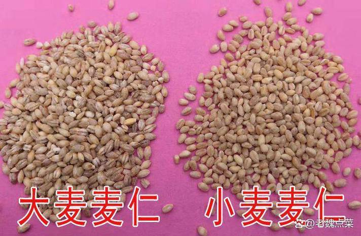 大麦与小麦的区别截图