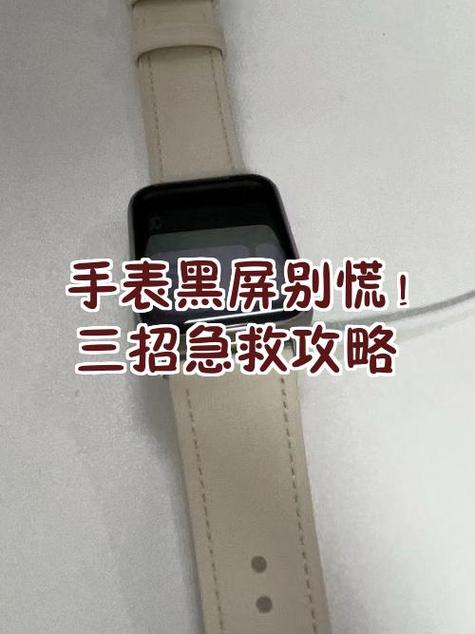 手表为什么会黑屏截图