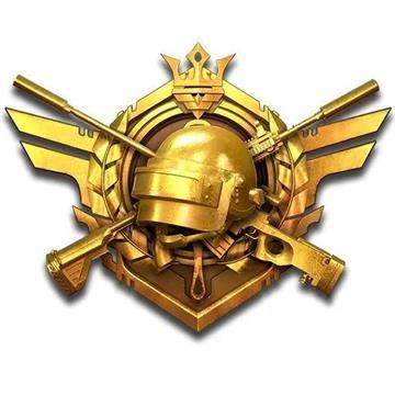 和平精英团队竞技徽章