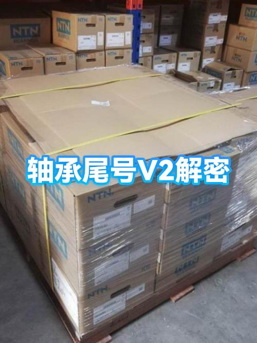 v2是什么意思啊图标