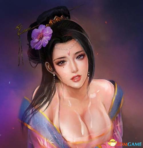 三国志14威力加强版绅士mod游戏截图