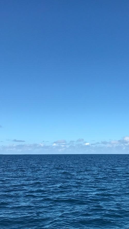 大海贼内置MOD作弊菜单下载截图
