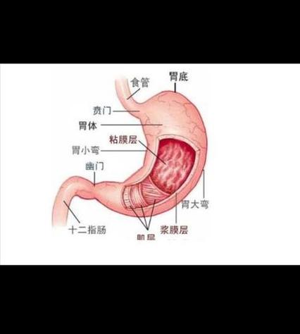 幽门感染是怎么引起的截图