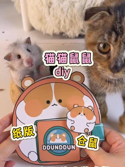 猫猫鼠鼠韩漫女主会变成仓鼠截图