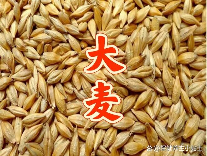 大麦网官网订票app图标