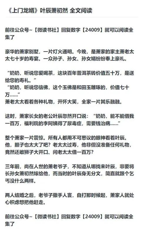 叶辰小说全本