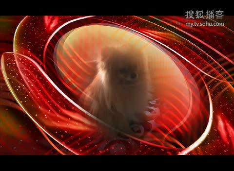 球球视频安装图标