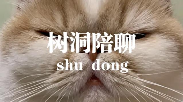 树洞倾听兼职缩略图