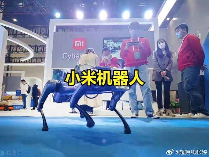 小米人app官方下载缩略图