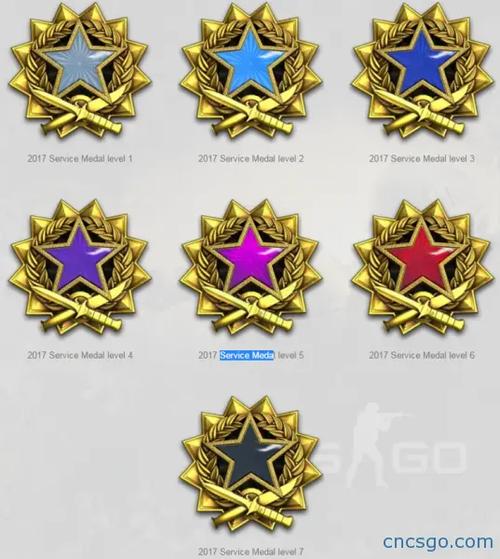 csgo徽章和胸章的区别截图