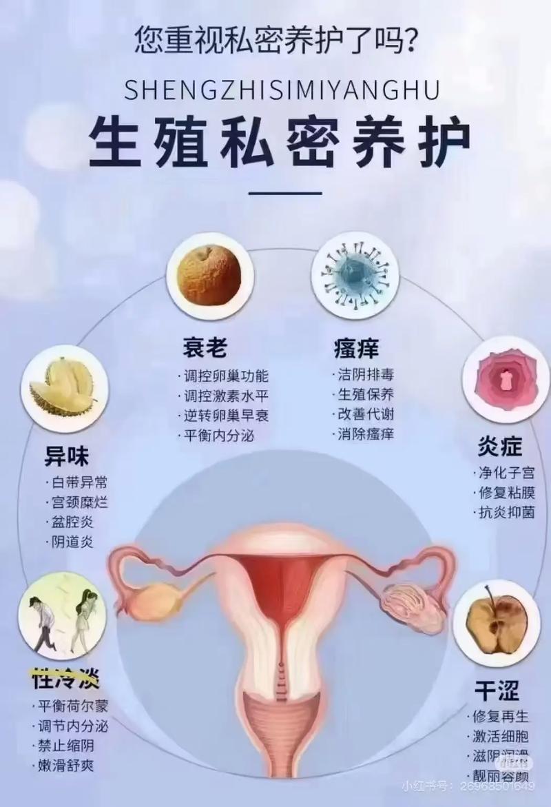 文件管理私密怎么打开