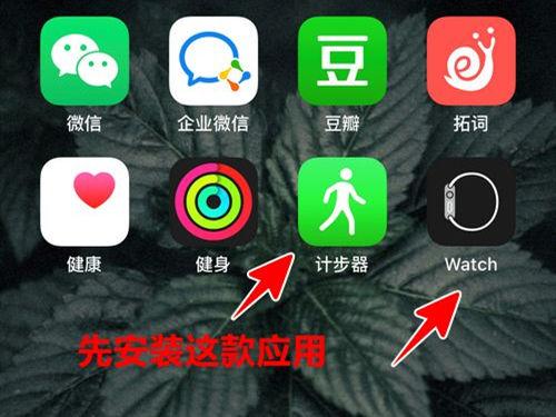苹果手表怎么显示步数缩略图