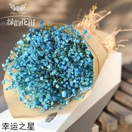 满天星花语短句唯美句子