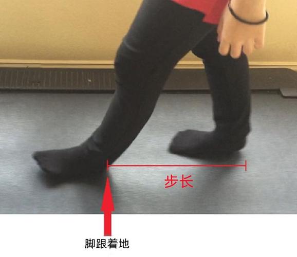 1米6的人一步大概多少米截图