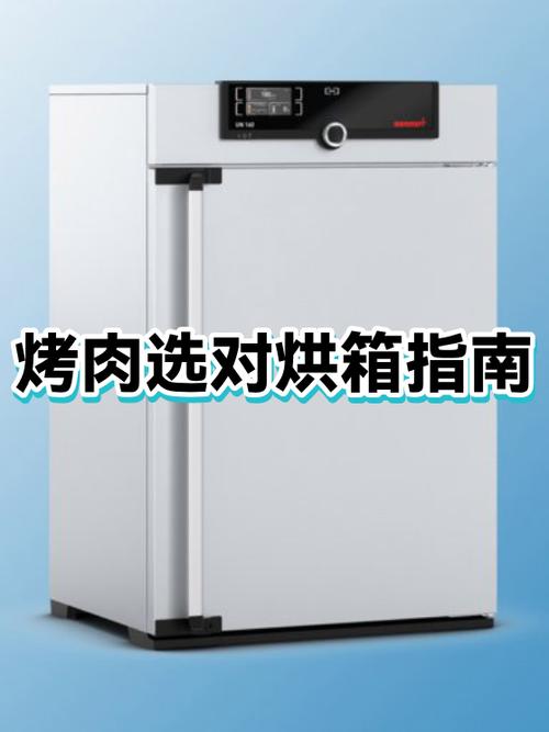烤箱烤肉的温度要求游戏截图