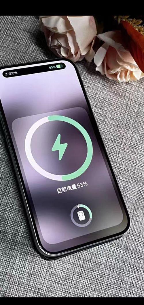 苹果x突然掉电特别快