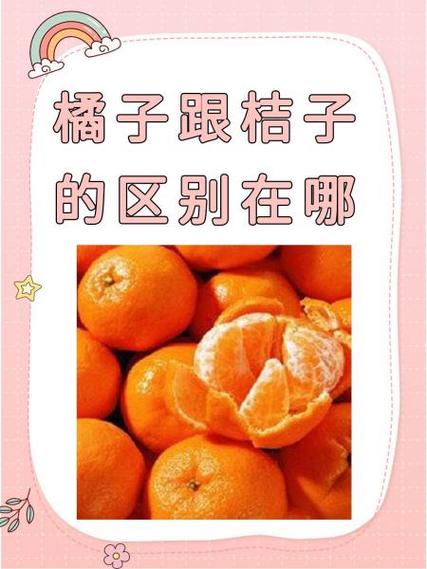 橘子和桔子图片区别缩略图