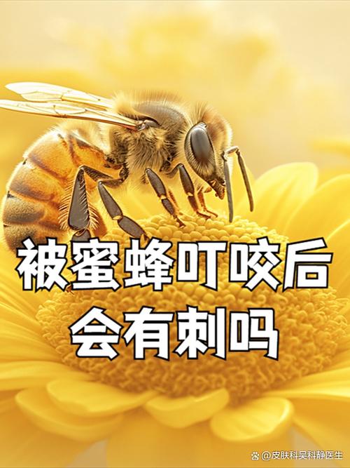 穿越成为一只马蜂缩略图