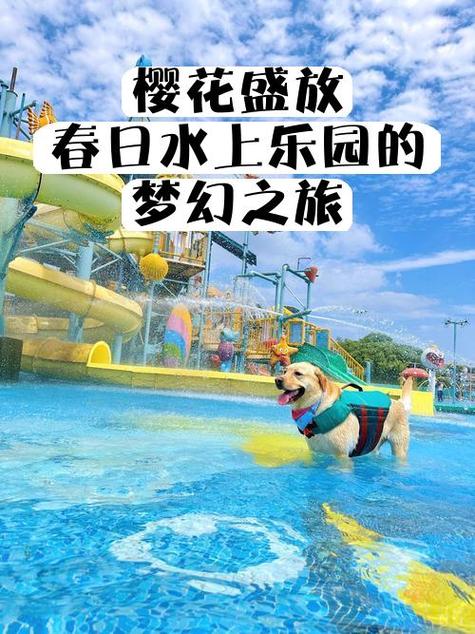 樱花校园模拟器水上乐园在哪儿