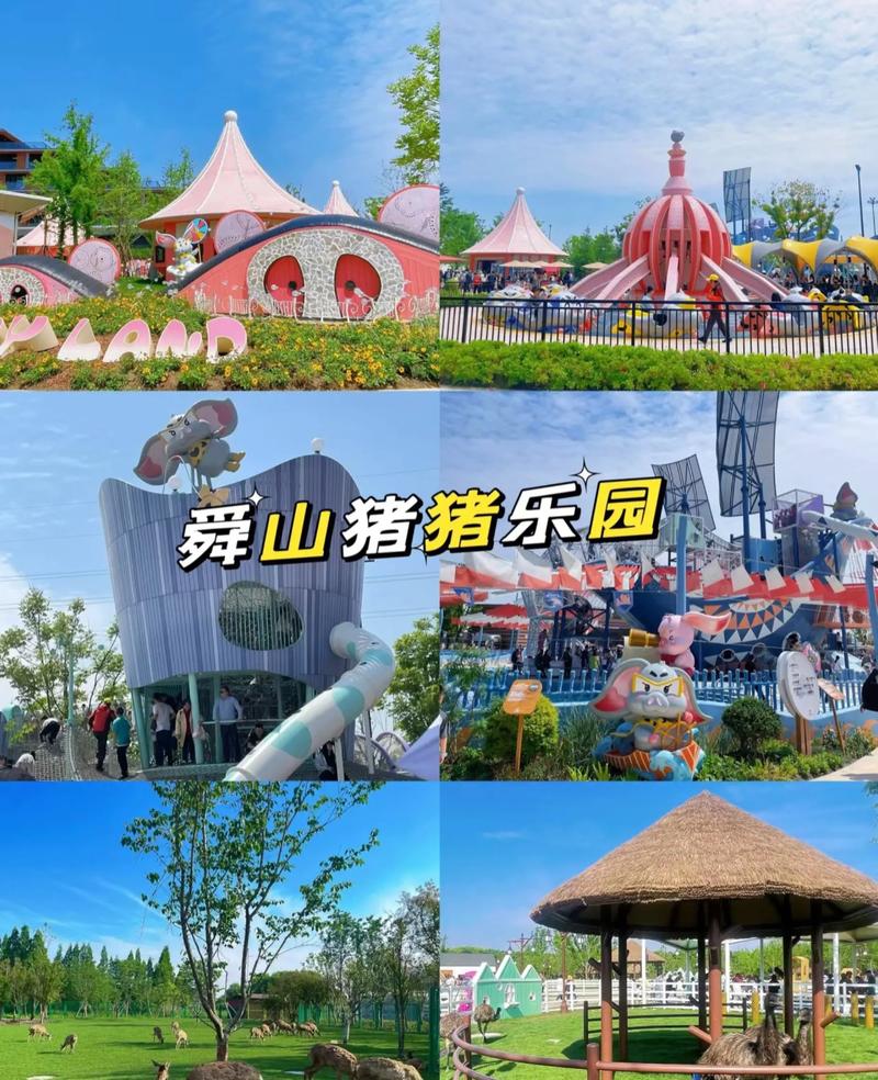 养猪模拟器