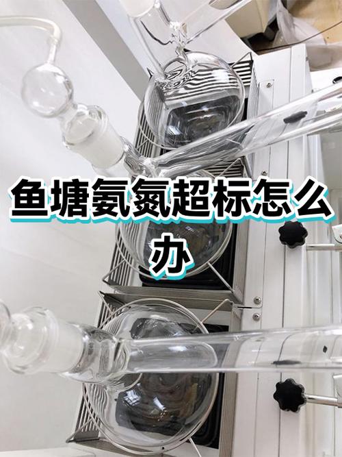 氨氮超标原因和解决办法截图