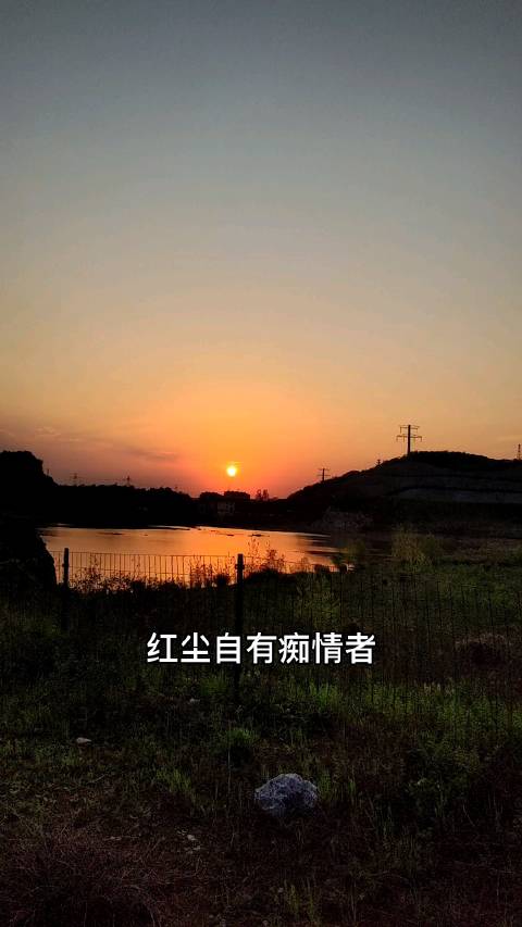 alone电影在线观看免费