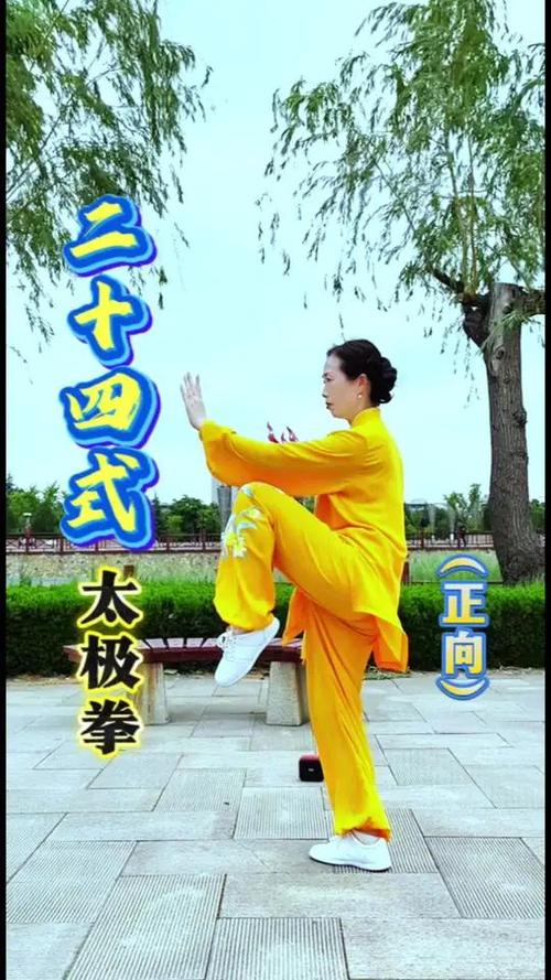24式太极拳全套演练图标