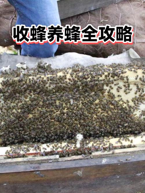 使命召唤16脚步声