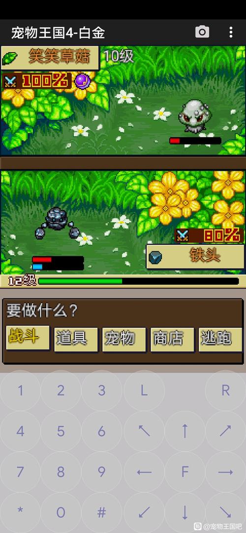宠物王国外传红色宠物