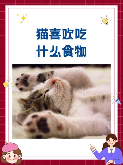 正确喂猫粮的方法游戏截图