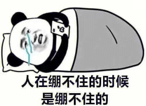 绷住的表情包缩略图