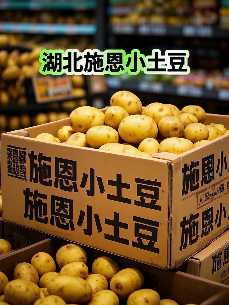 小土豆直装卡密在哪买