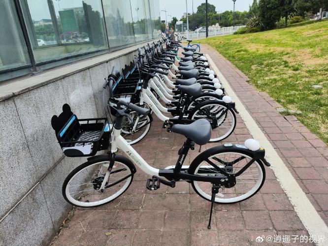 哈啰老版本下载