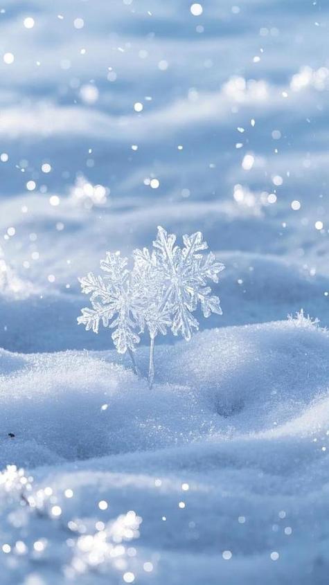 冰封雪地的心情游戏截图