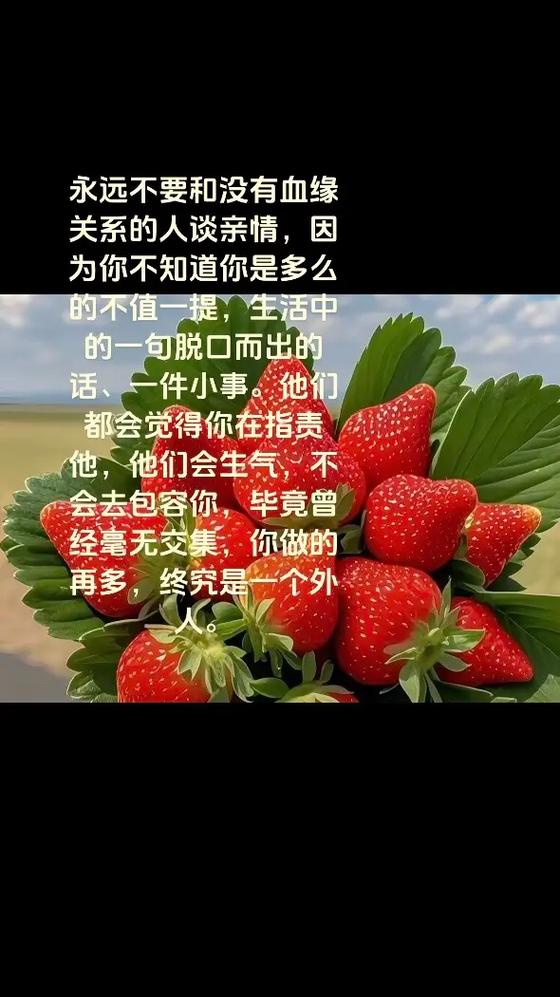 永远只是个外人的句子截图