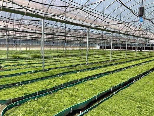 四川农科院药材种植基地图标