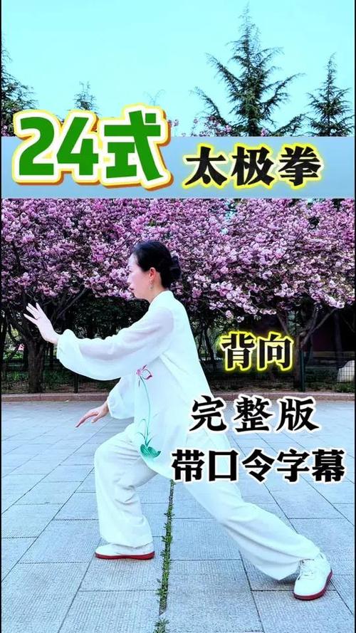 24式简化太极拳口令全套截图