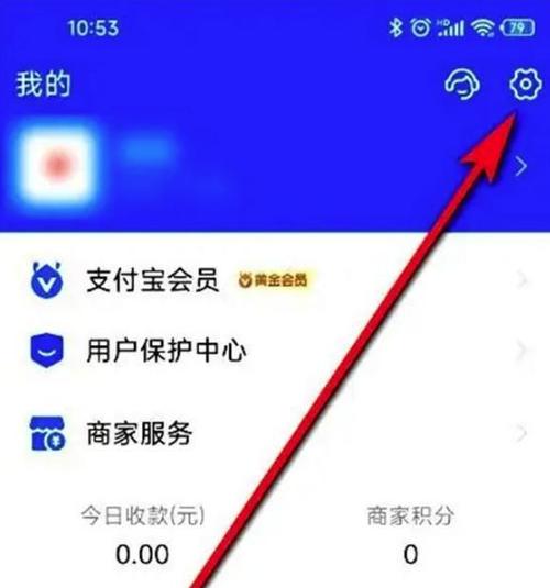 支付宝新旧版本切换在哪里截图