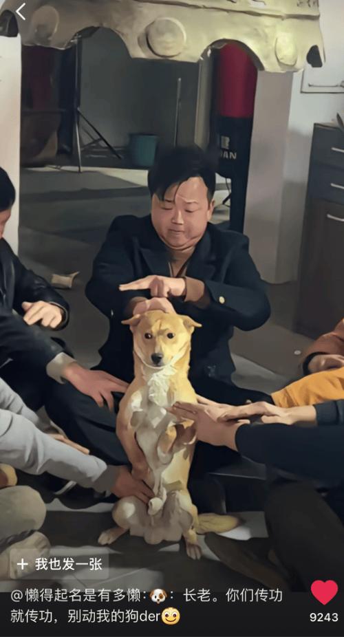 我的世界狗传送到自己身边
