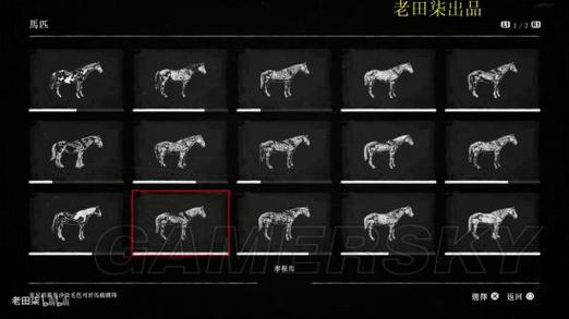 荒野大镖客动物地图截图