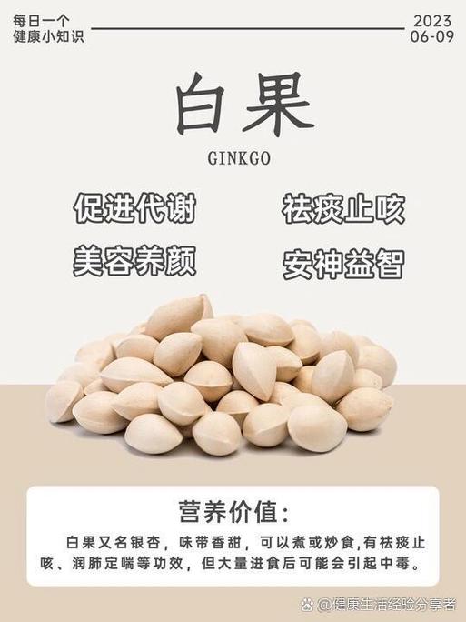 白果能治什么病图标