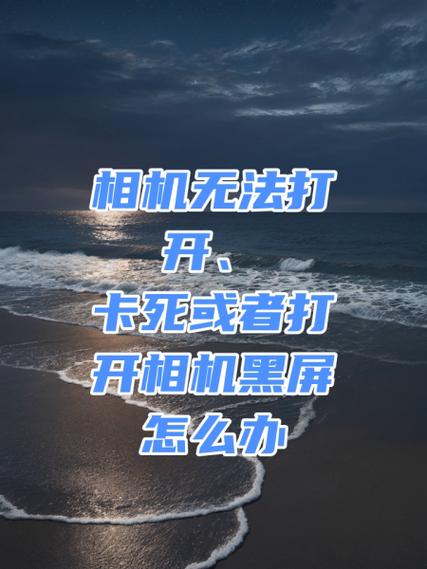 单反相机屏幕黑屏,但是可以照相缩略图