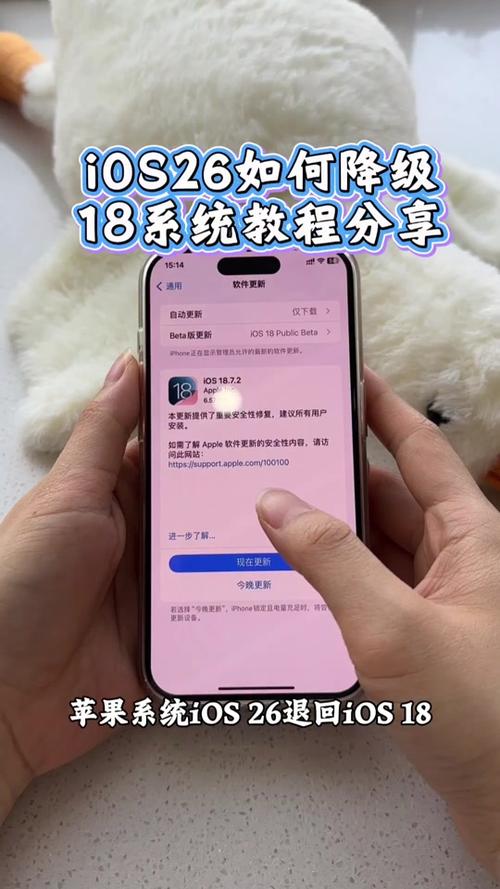 抖音插件可以删除吗图标